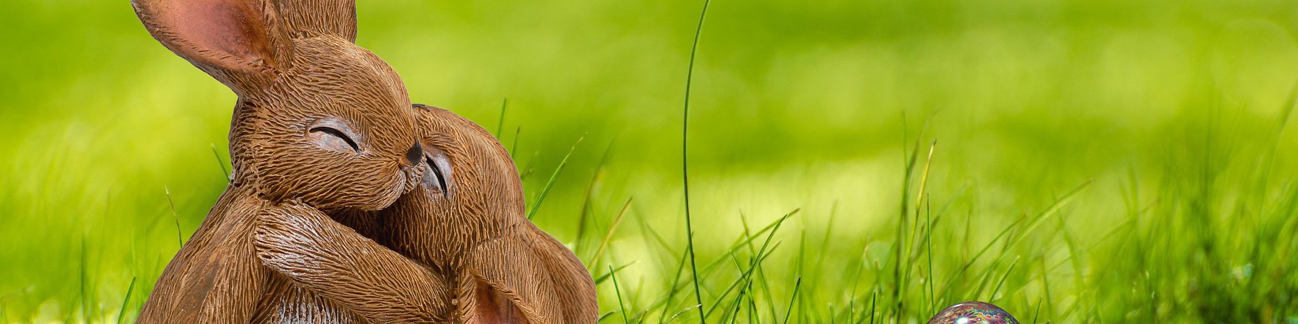 Wir wünschen allen Freunden unseres DV ein frohes und gesegnetes Osterfest