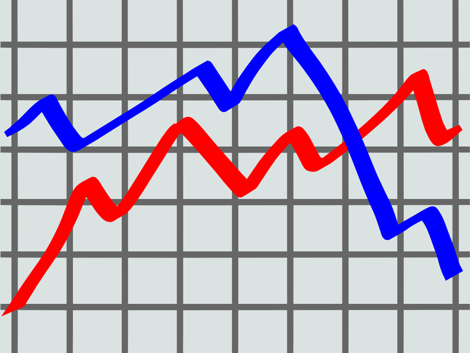 Aktuelle Mitgliederzahlen des DV im BHDS