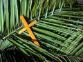 Gedanken zum Palmsonntag von Diözesanpräses Martin Göke